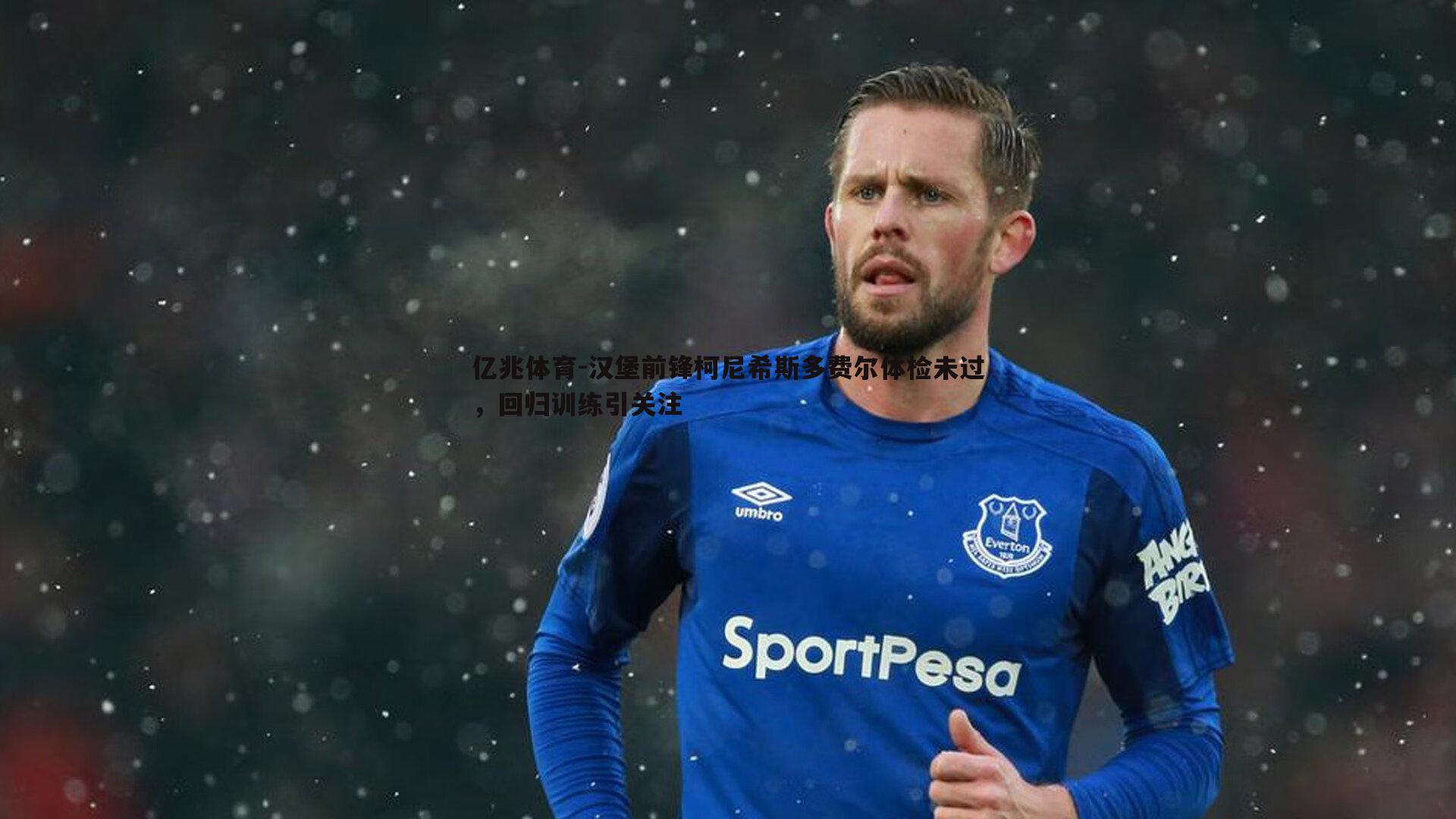 汉堡前锋柯尼希斯多费尔体检未过,回归训练引关注